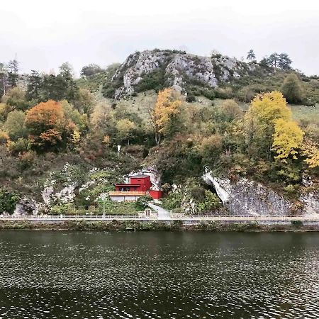 La Taniere Dinant Villa Dış mekan fotoğraf
